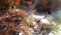 EN MIRAMAR  Sofocan incendio de maleza
