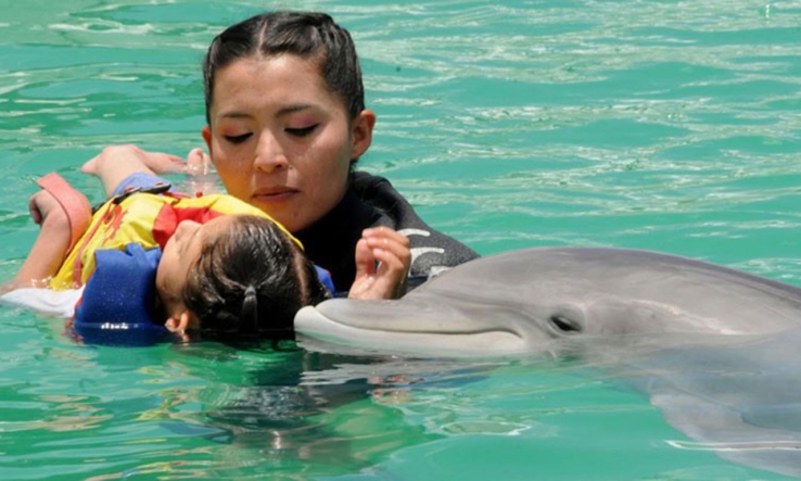 Reactivarán las delfinoterapias en menores con alguna discapacidad