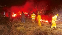 EN SUAQUI GRANDE  Apoyan Bomberos guaymenses en incendio Forestal