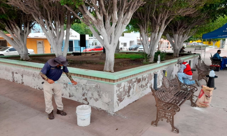 ECOLOGÍA  Remoza plaza Centenario