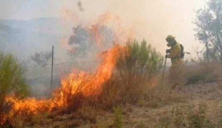 Se incrementan incendios forestales
