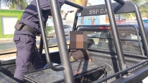 Arrestan a agresivo sujeto
