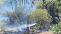 Se incendia predio en Fátima