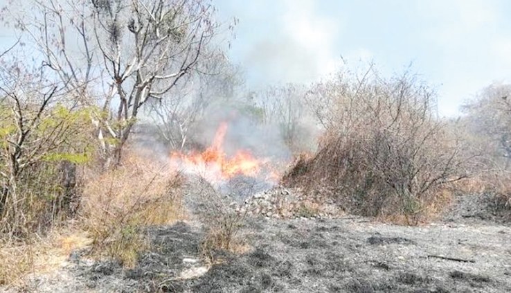 Se quema predio. Al parecer unas personas estaban quemando basura y el fuego se les salió de control.