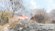 Se quema predio. Al parecer unas personas estaban quemando basura y el fuego se les salió de control.