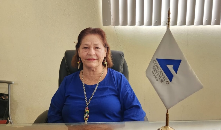 Incrementan un 70% las ventas en época decembrina: Canaco-Servytur