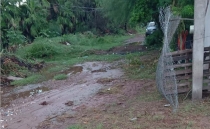 EN LOS PINOS  Urge limpieza del arroyo