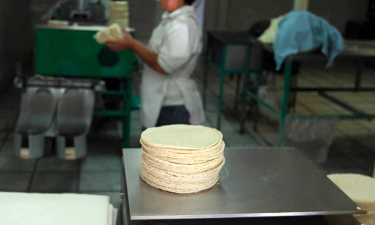 Hasta 24 pesos dan el kilo de tortillas