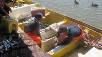 PESCADORES DE RIBERA  En búsqueda de apoyos