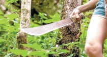Buscan a agresiva mujer