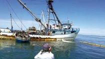 AL NAUFRAGAR SARDINERO Se extravían pescadores guaymenses