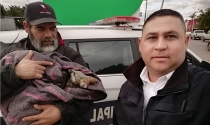 Fue hallado por un vecino en El Ranchito Entregan zorro rojo a Centro Ecológico