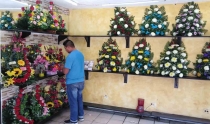 NUEVAMENTE  Floristas en problemas