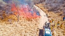 Afecta 4 mil 500 hectáreas incendio forestal