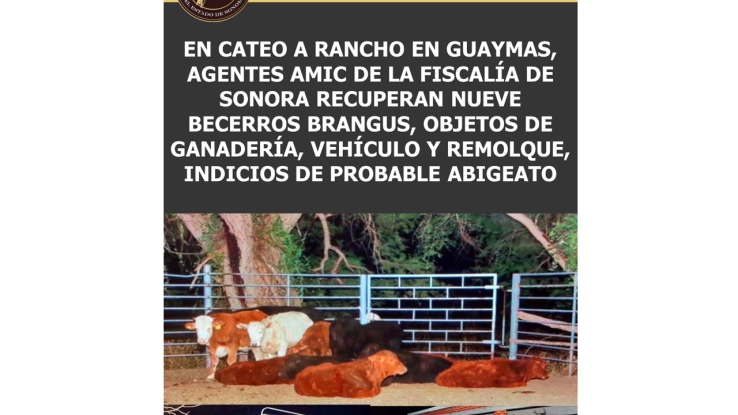 Recuperan ganado robado
