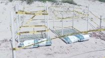 CRIFS Protege 4 mil huevos de tortuga