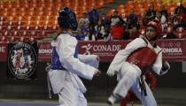 EN LOS ESTATALES CODESON  Surgen los primeros campeones en TKD