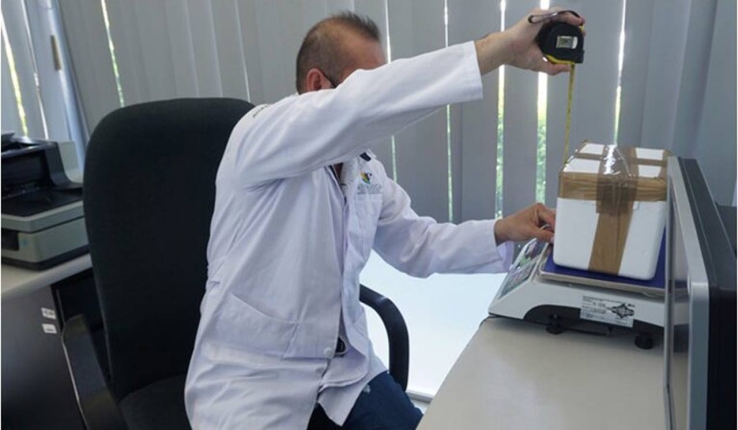 Confirman el primer caso de influenza aviar AH5N1 en México