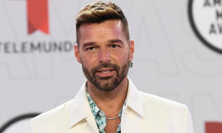 Ricky Martin pasaría hasta 50 años en la cárcel si es culpable de incesto