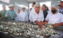 TITULAR DE CONAPESA Destaca millonaria inversión