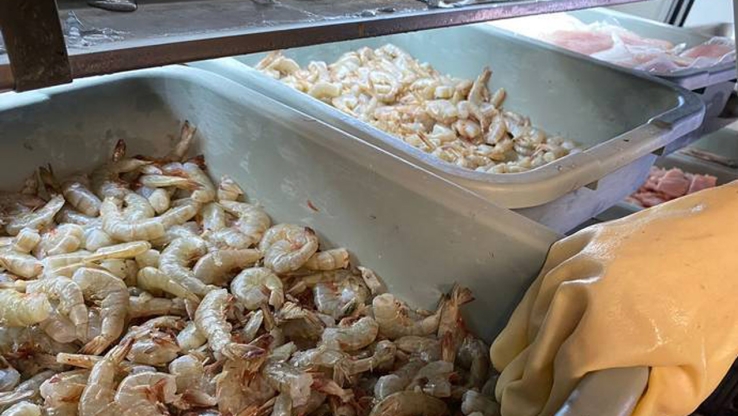 Listos vendedores de mariscos
