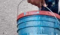 Se roba pintura