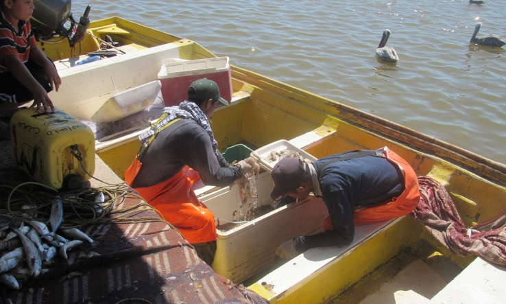 Buscan pescadores mejoras