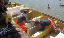 Buscan pescadores mejoras