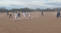 Vuelan alto los Halcones Júnior