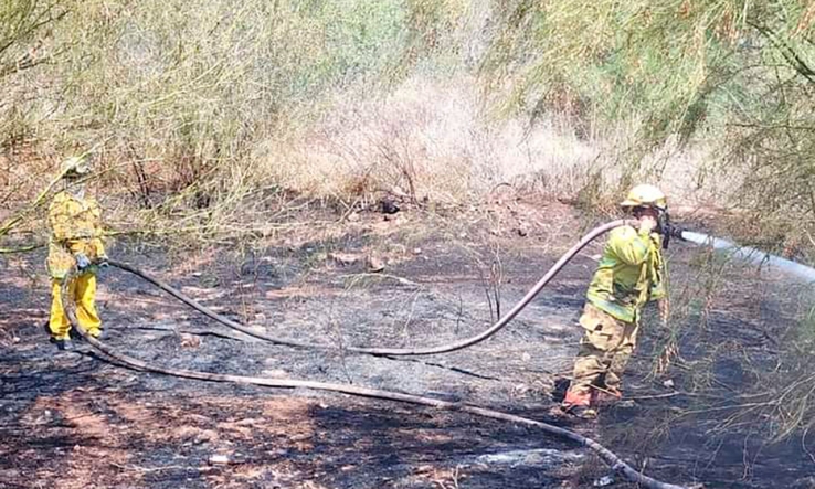 EN SAN CARLOS   Se registran dos incendios forestales de grandes magnitudes en San Carlos