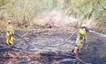 EN SAN CARLOS   Se registran dos incendios forestales de grandes magnitudes en San Carlos