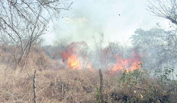 EN FÁTIMA  Se incendia maleza