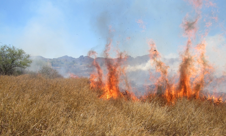 Sonora en alerta roja por incendios