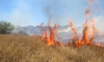 Sonora en alerta roja por incendios