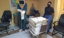 Docentes del ITH Crearán app para reducir mortandad de abejas
