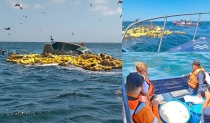 EN BAHIA DE KINO  Se va a “pique” barco sardinero guaymense