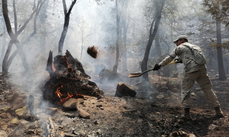 Ganan brigadistas terreno a incendio forestal de Sahuaripa