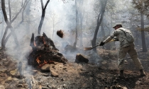 Ganan brigadistas terreno a incendio forestal de Sahuaripa