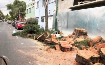 Autoridades de Ecología Sancionan a empresa por daño ecológico