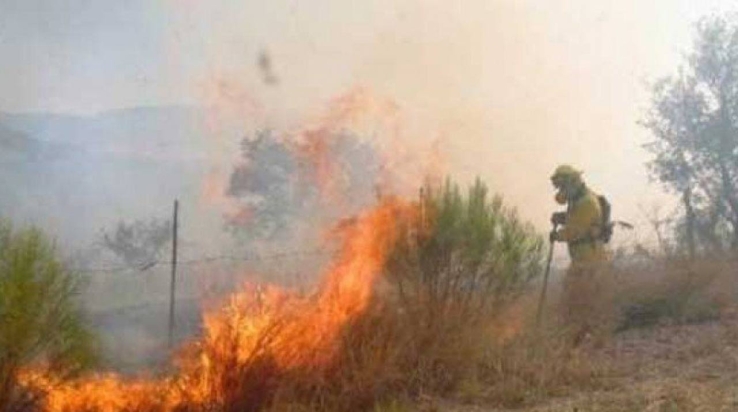 Aumentan incendios forestales