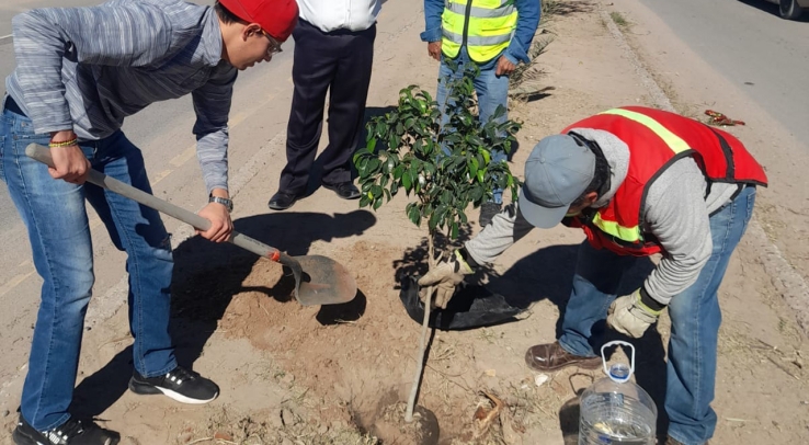 Reforestan espacios