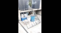 Roban en tienda de abarrotes