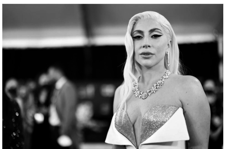 Lady Gaga es demandada por no pagar la recompensa de sus perros