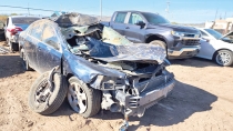 SOBRE LA CARRETERA A ORTIZ  Presencia de ganado a ocasionado accidentes