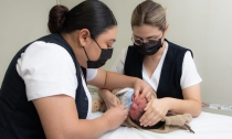 Para detectar enfermedades Recomiendan control médico de menores
