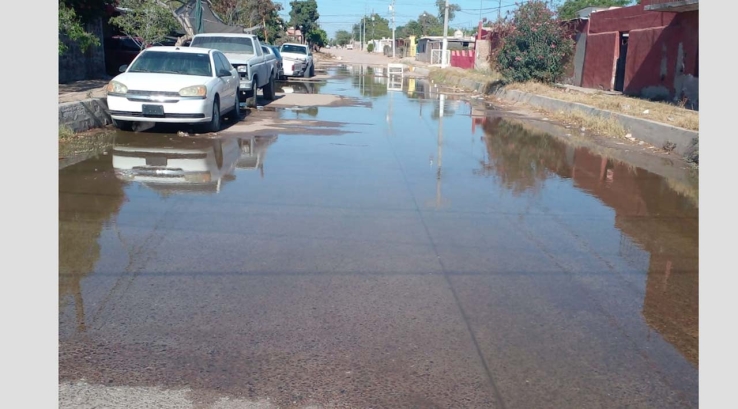 RESIDENTES DE CALLE GUADALUPE VICTORIA  No aguantan la peste de agua de drenaje
