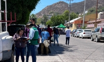 Promedio del 50% de los ambulantes han integrado expedientes