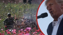 Trump analiza &#039;atacar&#039; México para combatir al narcotráfico si es reelecto