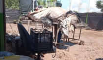 Solicita ayuda DAER
