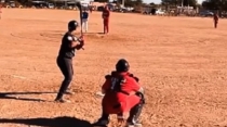 Cachorros con la serie